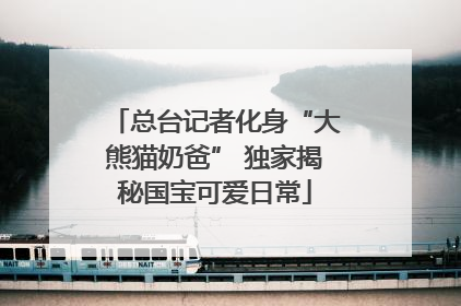 总台记者化身“大熊猫奶爸” 独家揭秘国宝可爱日常