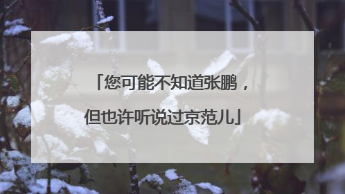 您可能不知道张鹏，但也许听说过京范儿