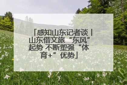感知山东记者谈丨山东借文旅“东风”起势 不断塑强“体育+”优势