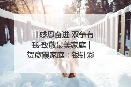 感恩奋进 双争有我·致敬最美家庭｜贺彦霞家庭：银针彩线绣出好日子