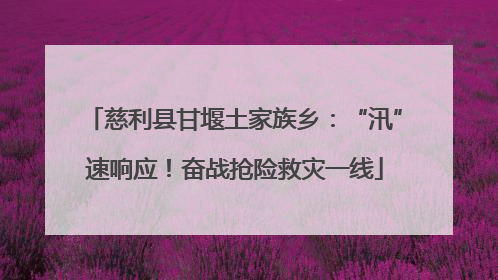 慈利县甘堰土家族乡：“汛”速响应！奋战抢险救灾一线
