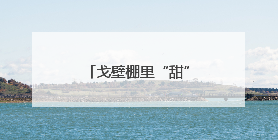 戈壁棚里“甜”出圈！瓜州蜜瓜抢“鲜”上市