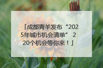成都青羊发布“2025年城市机会清单” 220个机会等你来！