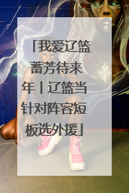 我爱辽篮 蓄芳待来年丨辽篮当针对阵容短板选外援