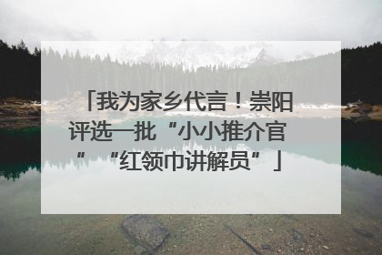 我为家乡代言！崇阳评选一批“小小推介官”“红领巾讲解员”