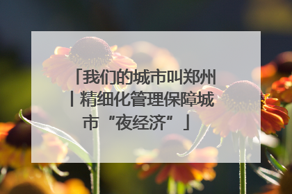我们的城市叫郑州丨精细化管理保障城市“夜经济”