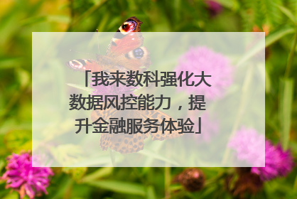 我来数科强化大数据风控能力，提升金融服务体验