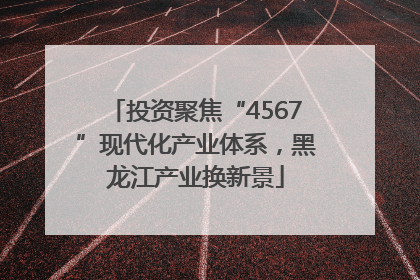 投资聚焦“4567”现代化产业体系，黑龙江产业换新景