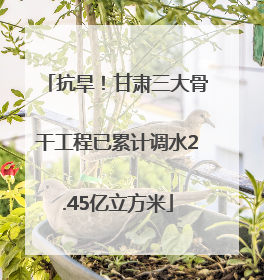 抗旱！甘肃三大骨干工程已累计调水2.45亿立方米