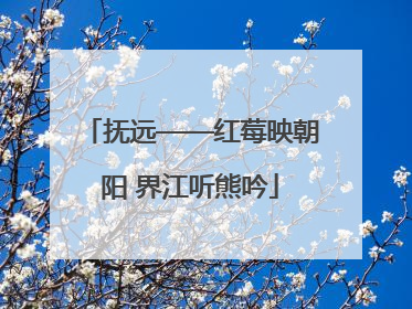 抚远——红莓映朝阳 界江听熊吟