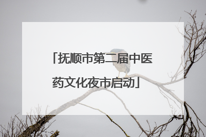 抚顺市第二届中医药文化夜市启动
