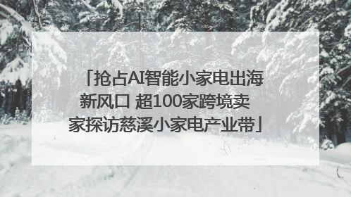 抢占AI智能小家电出海新风口 超100家跨境卖家探访慈溪小家电产业带