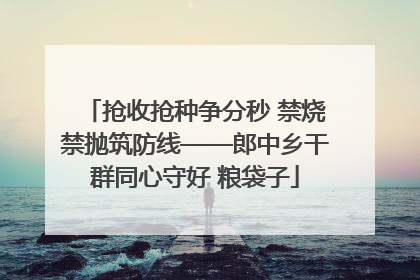 抢收抢种争分秒 禁烧禁抛筑防线——郎中乡干群同心守好 粮袋子