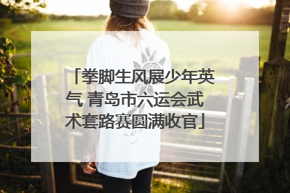 拳脚生风展少年英气 青岛市六运会武术套路赛圆满收官