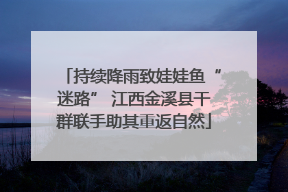 持续降雨致娃娃鱼“迷路” 江西金溪县干群联手助其重返自然