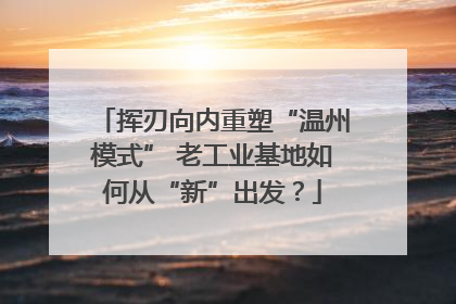 挥刃向内重塑“温州模式” 老工业基地如何从“新”出发？