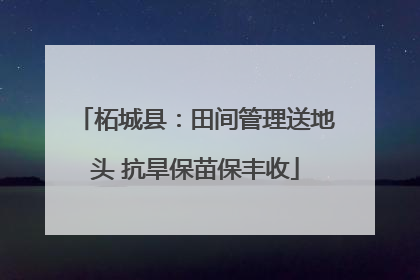 柘城县：田间管理送地头 抗旱保苗保丰收