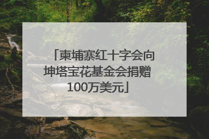 柬埔寨红十字会向坤塔宝花基金会捐赠100万美元