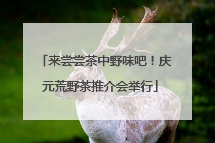 来尝尝茶中野味吧！庆元荒野茶推介会举行
