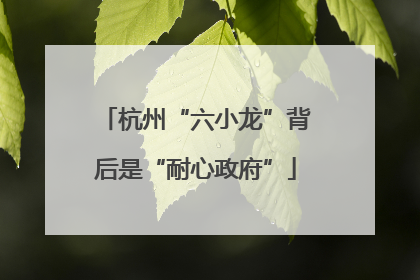 杭州“六小龙”背后是“耐心政府”
