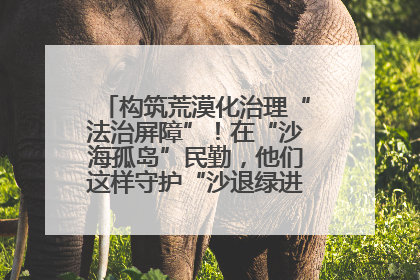 构筑荒漠化治理“法治屏障”！在“沙海孤岛”民勤，他们这样守护“沙退绿进”的生态奇迹