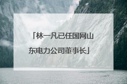 林一凡已任国网山东电力公司董事长