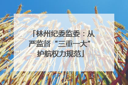 林州纪委监委：从严监督“三重一大” 护航权力规范