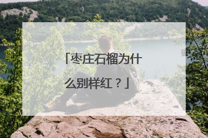 枣庄石榴为什么别样红？