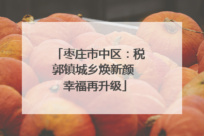 枣庄市中区：税郭镇城乡焕新颜 幸福再升级