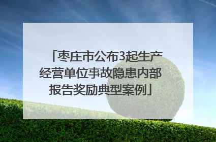 枣庄市公布3起生产经营单位事故隐患内部报告奖励典型案例
