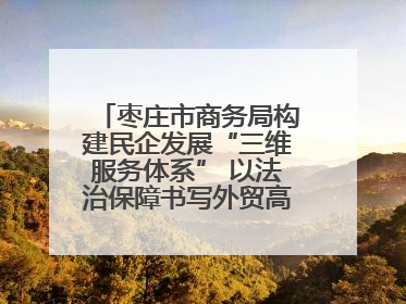 枣庄市商务局构建民企发展“三维服务体系” 以法治保障书写外贸高质量答卷