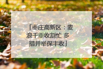 枣庄高新区：麦浪千重收割忙 多措并举保丰收