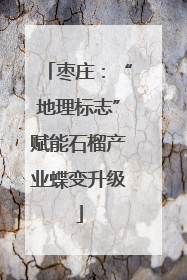 枣庄：“地理标志”赋能石榴产业蝶变升级