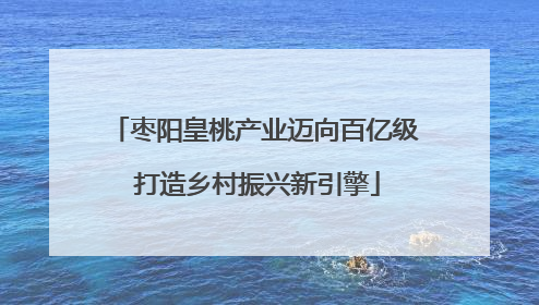 枣阳皇桃产业迈向百亿级 打造乡村振兴新引擎