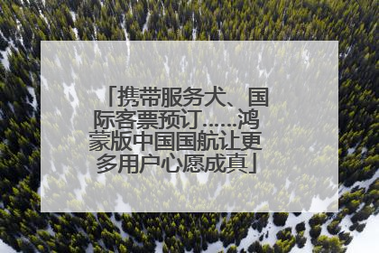 携带服务犬、国际客票预订……鸿蒙版中国国航让更多用户心愿成真