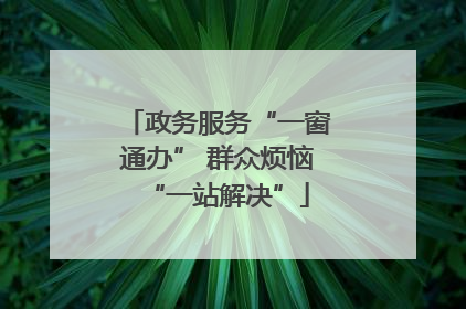 政务服务“一窗通办” 群众烦恼“一站解决”