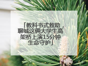 教科书式救助，聊城这俩大学生高架桥上演15分钟生命守护