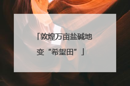 敦煌万亩盐碱地变“希望田”