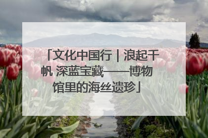 文化中国行｜浪起千帆 深蓝宝藏——博物馆里的海丝遗珍