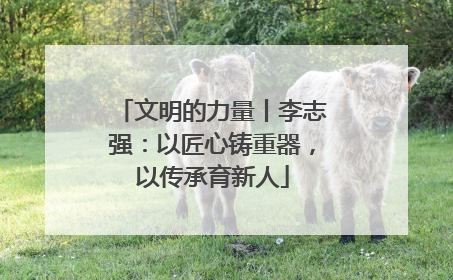 文明的力量丨李志强：以匠心铸重器，以传承育新人