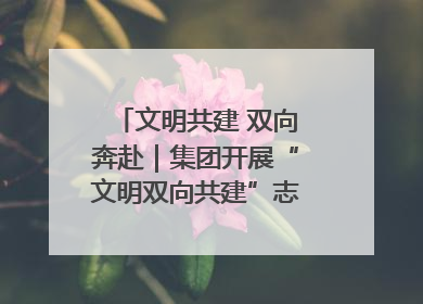 文明共建 双向奔赴｜集团开展“文明双向共建”志愿服务活动