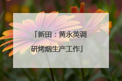 新田：黄永英调研烤烟生产工作