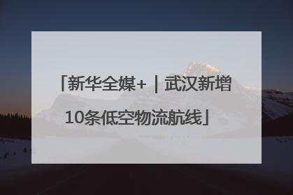 新华全媒+｜武汉新增10条低空物流航线