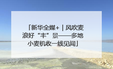 新华全媒+｜风吹麦浪好“丰”景——多地小麦机收一线见闻