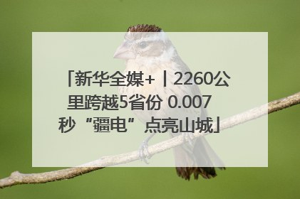 新华全媒+丨2260公里跨越5省份 0.007秒“疆电”点亮山城