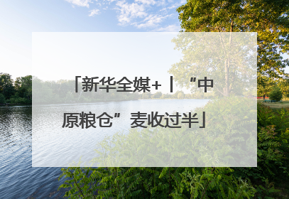 新华全媒+丨“中原粮仓”麦收过半