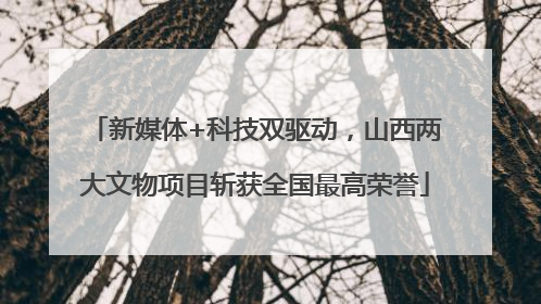 新媒体+科技双驱动，山西两大文物项目斩获全国最高荣誉