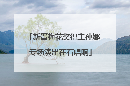 新晋梅花奖得主孙娜专场演出在石唱响