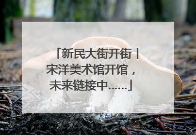 新民大街开街丨宋洋美术馆开馆，未来链接中……