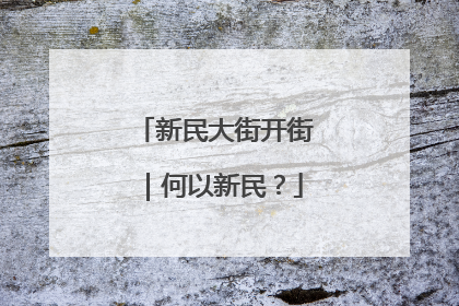 新民大街开街｜何以新民？
